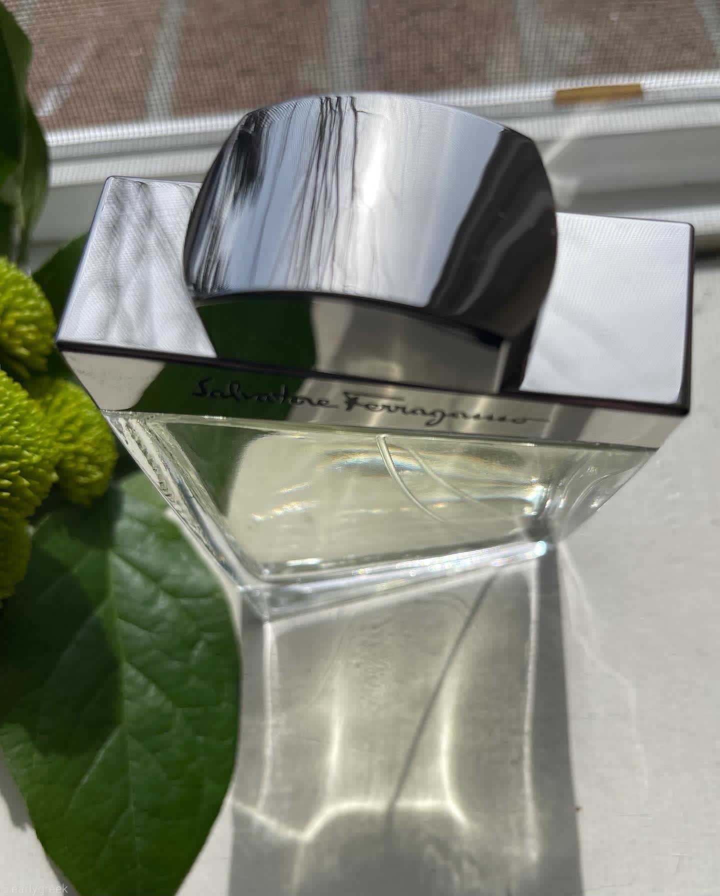 Salvatore Ferragamo EDT 100ml Perfume For Men