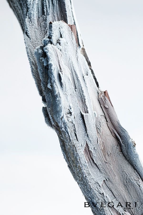 Bvlgari Man Glacial Essence EDP 100ml Perfume For Men