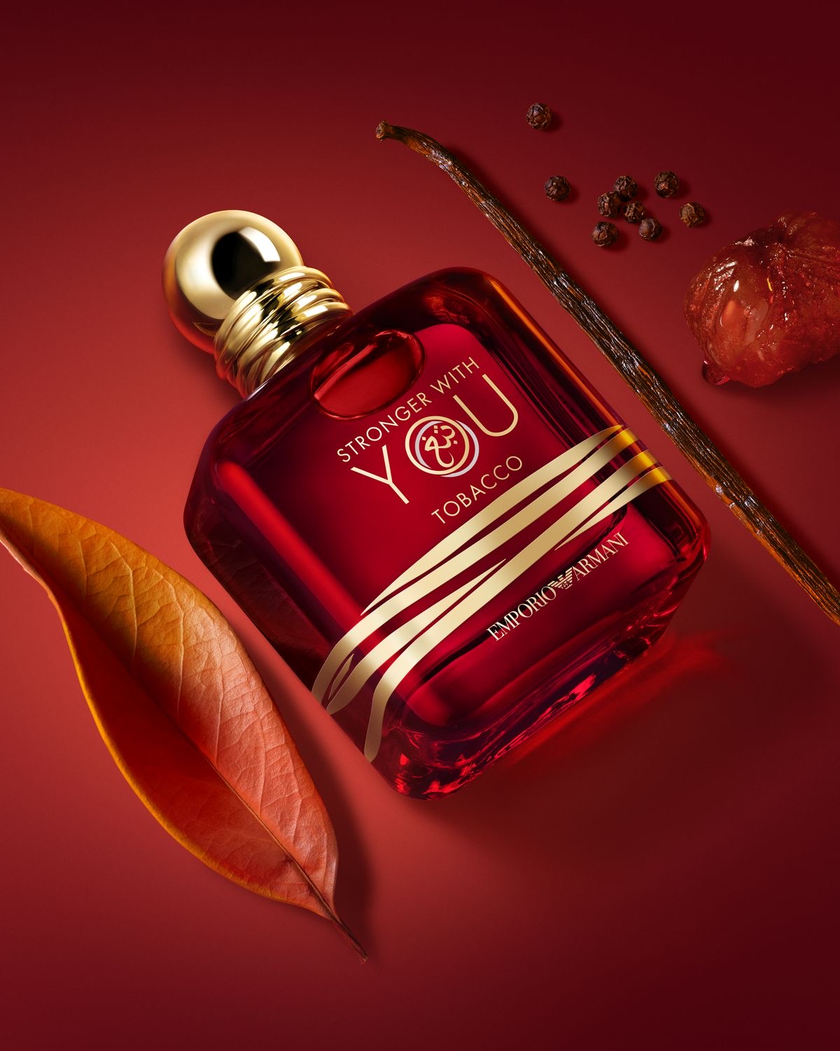 Emporio Armani Stronger With You Tobacco EDP 100ml Perfume For Men