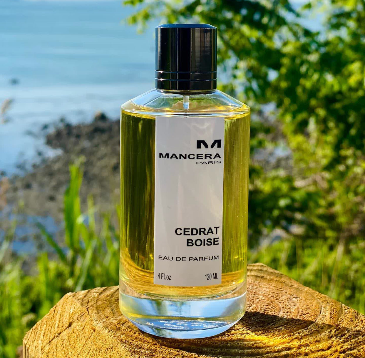 Mancera Cedrat Boise EDP 120ml Unisex Perfume