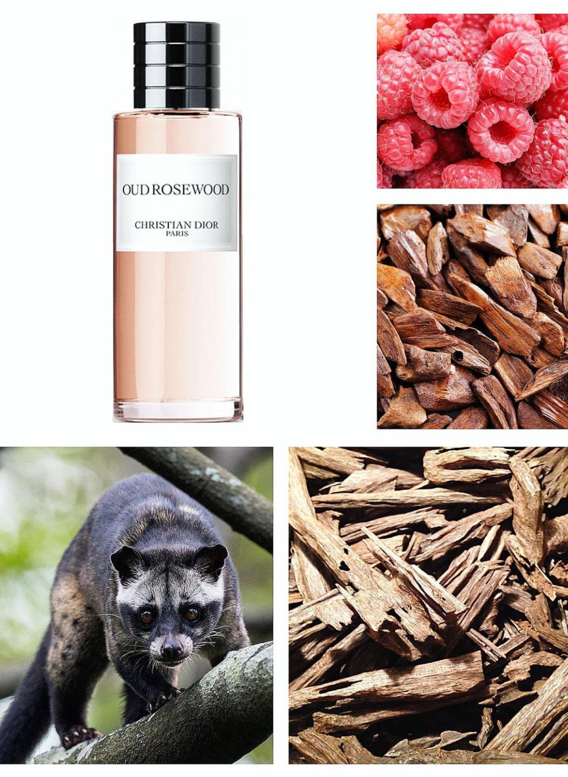 Christian Dior Oud Rosewood EDP 125ml UnisexPerfume