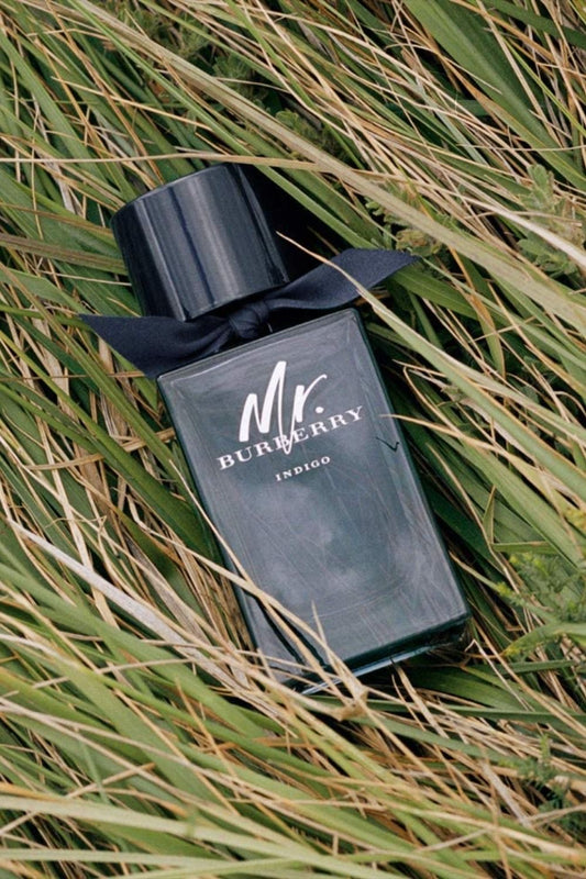 Burberry Mr Burberry INDIGO EDT 100ml Perfume For Men